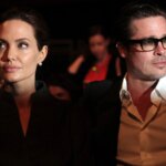 Brad Pitt demanda a su exesposa Angelina Jolie por vender participación en bodega francesa