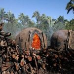 Brasil: La deforestación alcanza récord en enero en la Amazonía