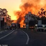 Dos conductores de trenes de carretera murieron después de un horroroso choque frontal que prendió fuego a ambos vehículos en el noroeste de Nueva Gales del Sur.