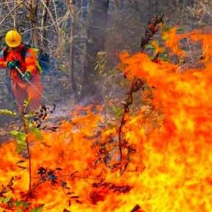El Salvador decreta alerta roja por incendios forestales