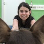 Investigadores de la Universidad Eotvos Lorand en Hungría han revelado que los perros pueden reconocer a su dueño solo con su voz
