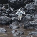 Perú: Continúa limpieza de costa contaminada tras derrame de petróleo