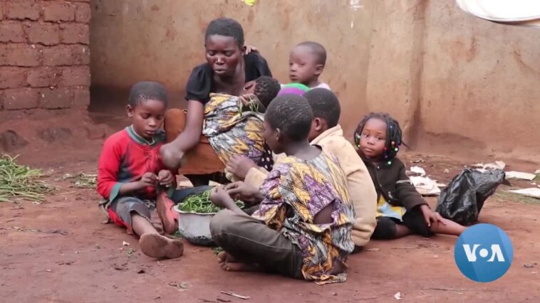 Refugiados alojados en Malawi cuestionan la exclusión del PMA de las raciones de alimentos