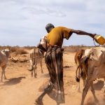 Sequía grave en Etiopía amenaza la vida y el sustento de millones de personas