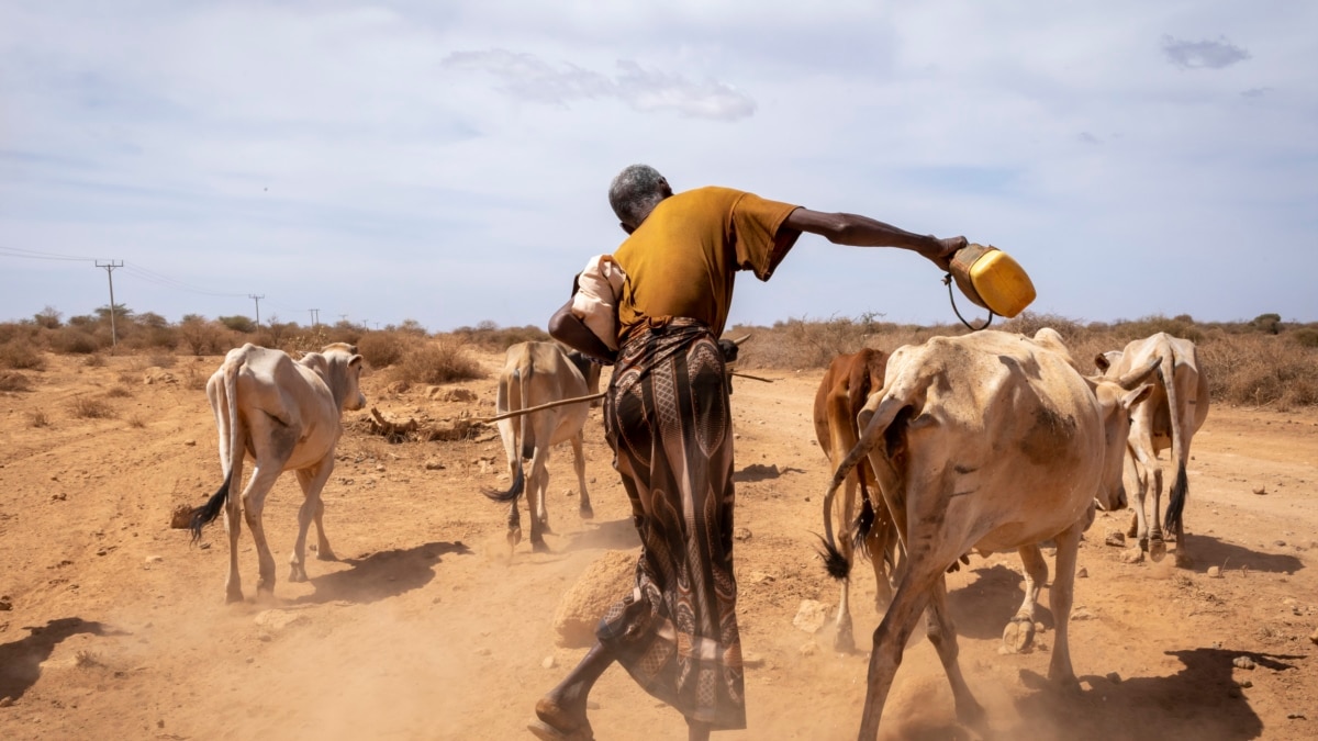 Sequía grave en Etiopía amenaza la vida y el sustento de millones de personas