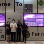 Syarikat Malasia yang menanam sayuran di pusat membeli-belah ini ingin rombak rantaian bekalan makanan