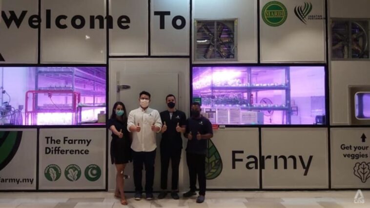 Syarikat Malasia yang menanam sayuran di pusat membeli-belah ini ingin rombak rantaian bekalan makanan