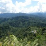 Acuerdo comercial de carbono de Sabah de 100 años: Controversia ya que las comunidades indígenas lamentan la falta de consulta, detalles