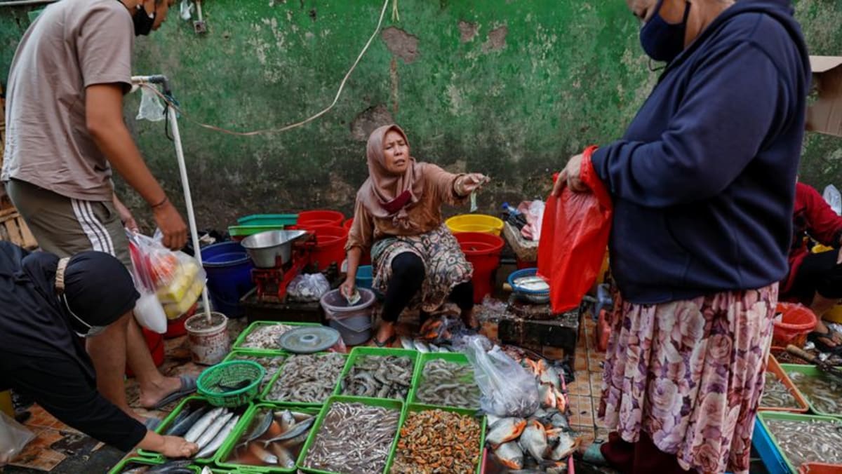 Jokowi de Indonesia advierte sobre el riesgo de inflación por la crisis de Ucrania
