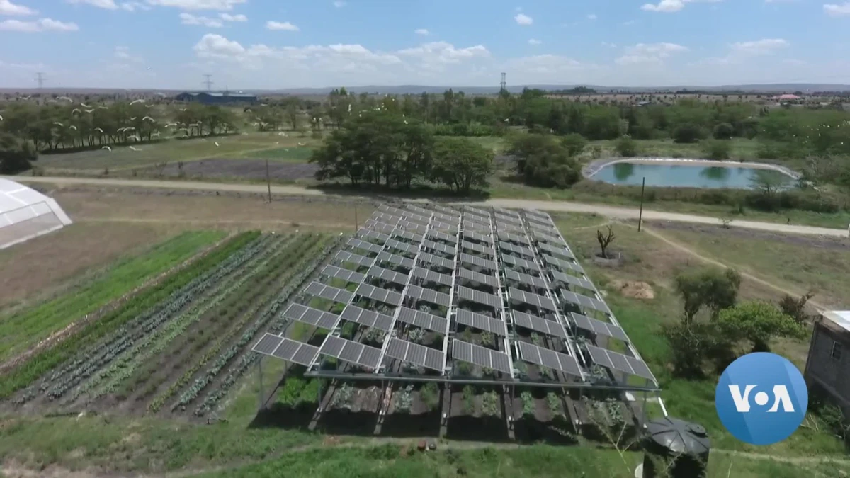 La tecnología de paneles solares aumenta los rendimientos de los agricultores en Kenia
