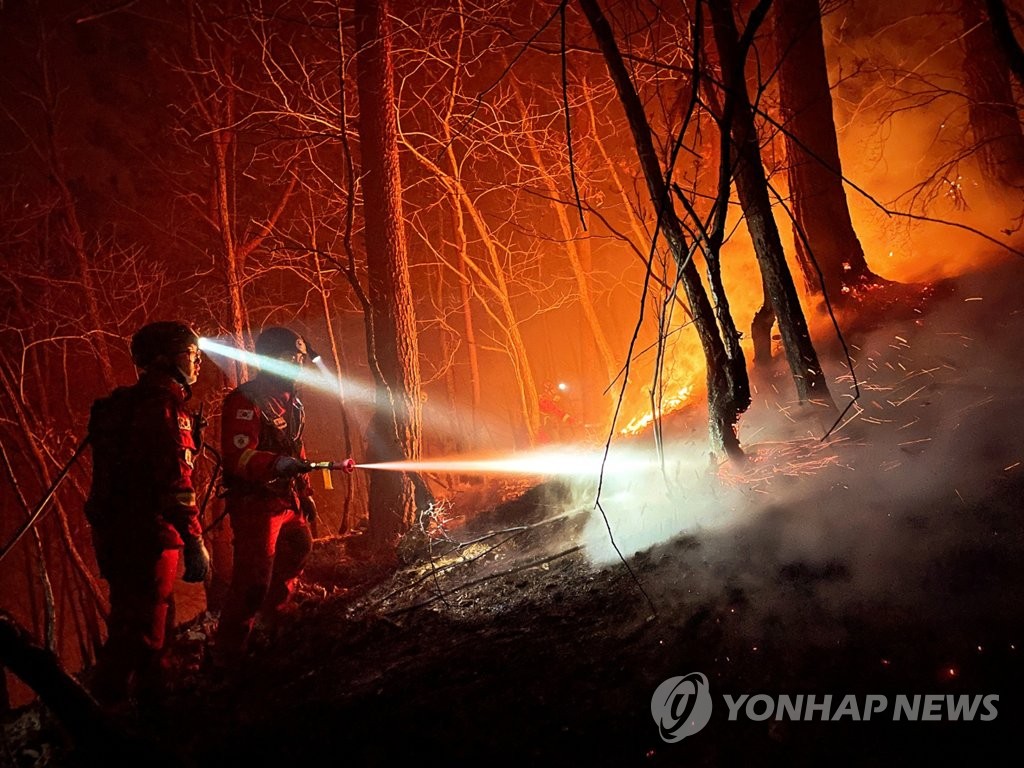 Los incendios forestales en la costa este queman casi 24.000 ha de bosques, los más devastadores registrados
