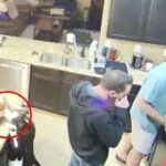 Cuando los humanos están de espaldas, el perro inteligente Delta agarra uno de los bistecs y lo muerde en segundos en imágenes filmadas en Fort Worth, Texas.