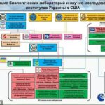 En apoyo a su campaña de propaganda para justificar la invasión de Ucrania, el Ministerio de Defensa de Rusia publicó el jueves un diagrama con flechas que conectan a Biden, Soros y el Partido Demócrata con los biolaboratorios ucranianos.