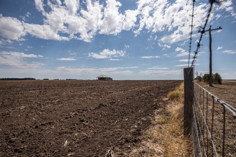 Zimbabue recupera tierras no utilizadas de agricultores negros