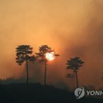 Bomberos apagan incendio forestal en ciudad del noreste