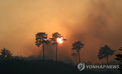 Bomberos apagan incendio forestal en ciudad del noreste
