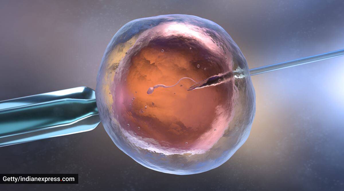 IVF