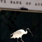 El banco central de Australia abre la puerta a la primera subida de tipos desde 2010