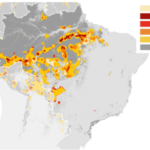El mundo no puede darse el lujo de perder más bosques brasileños: UE