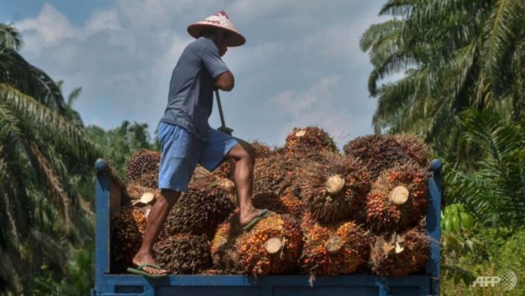 Indonesia impondrá 'sanciones estrictas' a quienes violen la prohibición de exportación de aceite de palma, dice el ministro de Comercio
