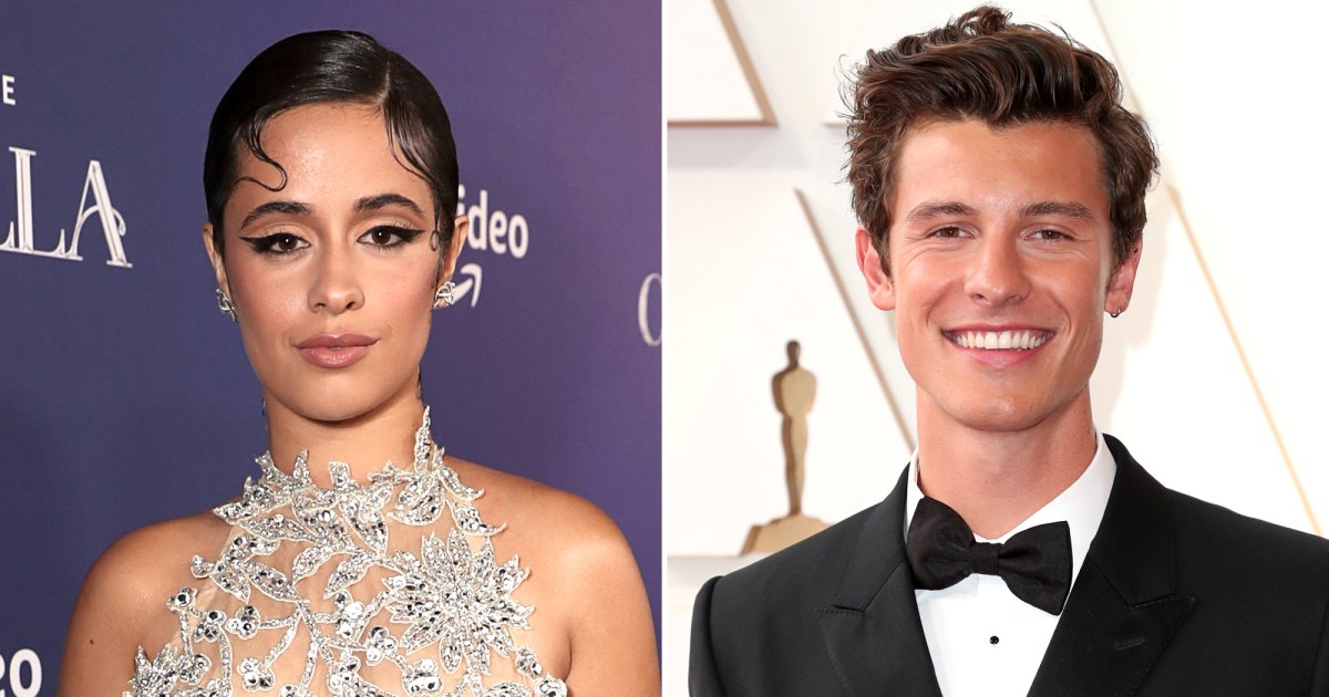 Las referencias de Camila Cabello a la separación de Shawn Mendes en 'Familia'