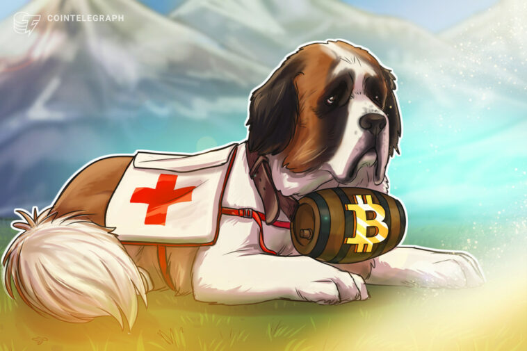 Retirar Bitcoin para salvar la vida de un perro del cáncer es 'la luna para nosotros' - Cripto noticias del Mundo