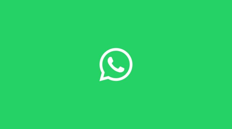 The WhatsApp logo in white over a green background.