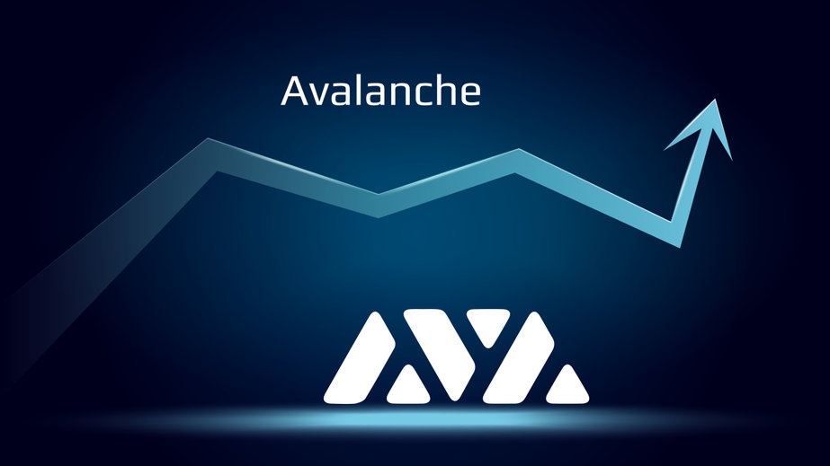  ¿Qué hace que el precio AVAX de Avalanche suba a medida que la mayoría de las criptomonedas caen?  - Criptonoticias del Mundo
