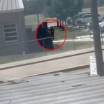 Un video en la escena parece mostrar al presunto pistolero acercándose a la escuela mientras lo que suena como disparos se escucha en el fondo.