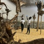 Artistas acuden en masa a Dakar para la Bienal