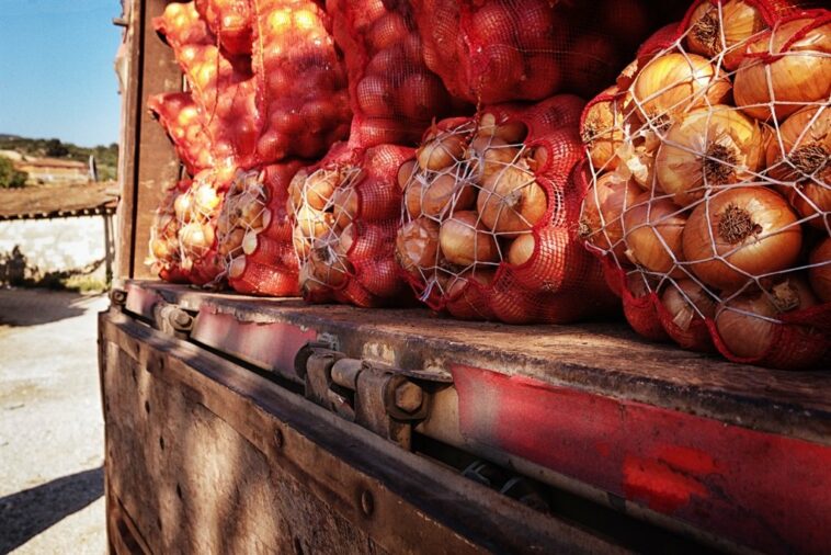 Onions loaded on a truck. (Image: Getty)