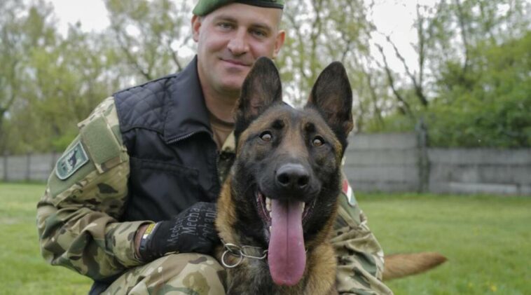 El ejército húngaro encuentra una misión en la vida de un perro maltratado
