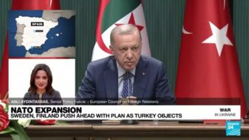 Expansión nórdica de la OTAN: las objeciones turcas son una "oportunidad para Erdogan" de ventilar las "quejas" de la OTAN