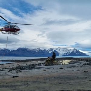 Fósil de ictiosaurio preñado es recuperado de la Patagonia chilena