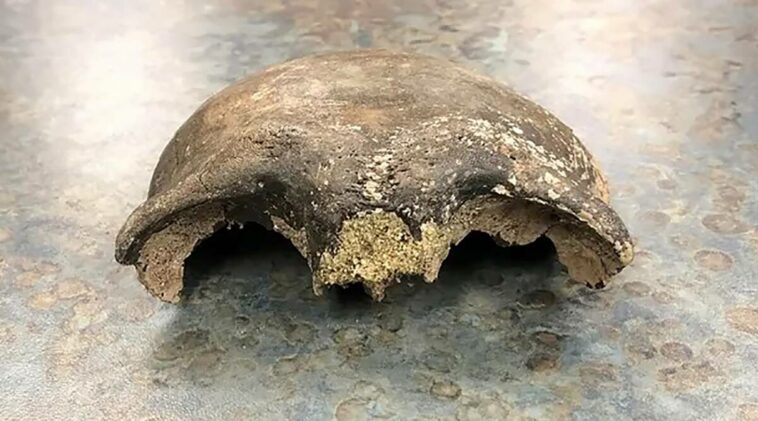 Hallan cráneo humano de unos 8.000 años en río de Minnesota