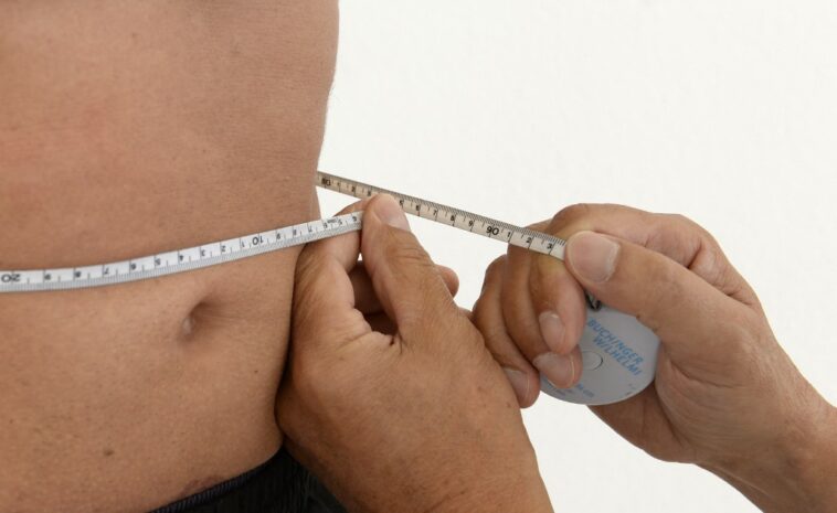La OMS advierte que la mayoría de los adultos en Europa tienen sobrepeso u obesidad