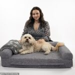 La estudiante Claudine se inspiró para diseñar una cama vibratoria para perros después de que su propio perro, Toffee, experimentara ansiedad por separación cuando regresó a la universidad después del encierro