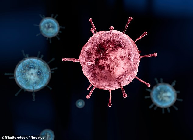 El virus de la gripe humana estacional puede haber descendido de la cepa de la gripe española de 1918, sugiere una nueva investigación