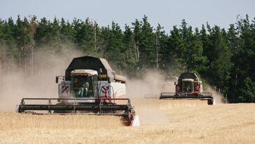 Las cosechadoras bombean grano de trigo recién cosechado a un camión durante una cosecha anterior en Kharkiv, Ucrania.  Hoy, la industria agrícola del país está en crisis después de la invasión de Rusia.