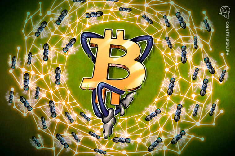 La red de Bitcoin se fortalece a medida que la dificultad minera registra ATH de 31.251T - Cripto noticias del Mundo