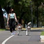 Cualquiera que infrinja las reglas de Covid en el sur de Australia podría ser castigado con dos años de cárcel, ya que esta semana se aprobarán nuevas leyes duras en el parlamento estatal.  En la imagen: una residente de Adelaide pasea a sus perros durante el encierro en noviembre de 2021