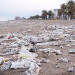 Las bacterias dañinas en los desechos plásticos asociados con las aguas residuales que se lavan en las playas pueden sobrevivir lo suficiente como para representar un riesgo para la salud humana, según descubrió una investigación de la Universidad de Stirling.