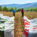 López Obrador anuncia planes para triplicar la producción de fertilizantes en México
