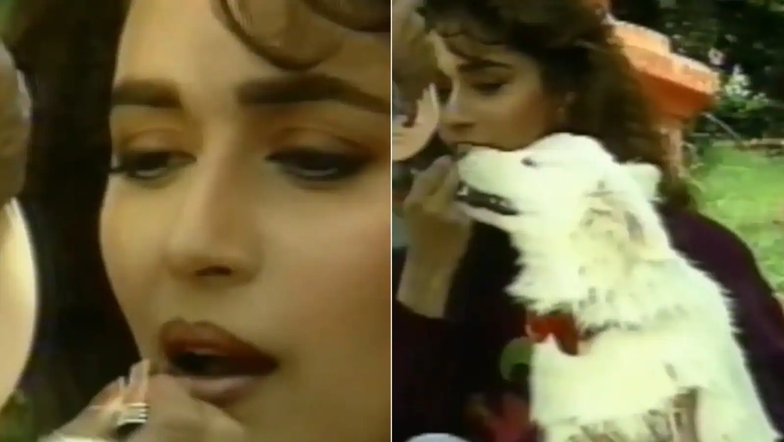  Madhuri Dixit y Tuffy se preparan juntos en los sets de Hum Aapke Hain Koun, fan dice: 'Golden days of Bollywood'.  Reloj
