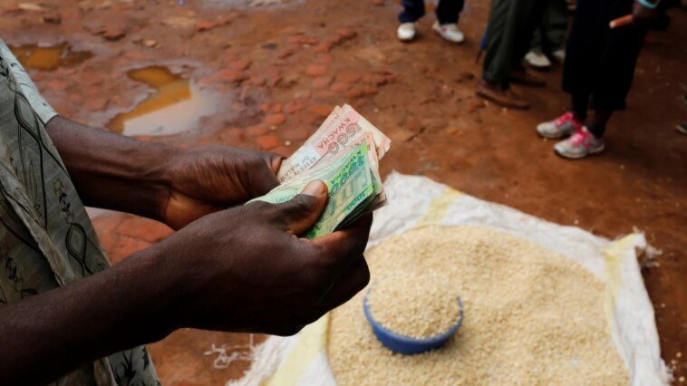 Malawi enfrenta escasez de moneda extranjera