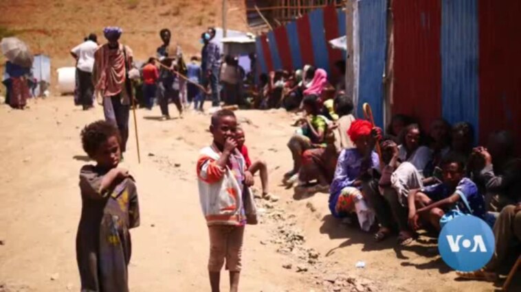 Niños abandonados mientras la gente huye del hambre en Tigray