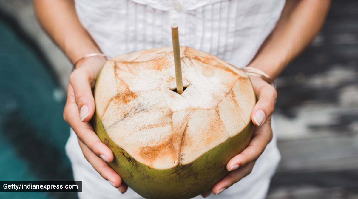 refreshing drink, refreshing drink in summer, cooling drink, coconut water drink, coconut cooling drink, healthy summer drinks, indian express news