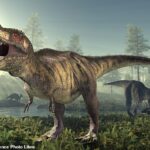 El equipo afirma que los dinosaurios depredadores como Velociraptor y T.Rex (impresión del artista) tenían tasas metabólicas muy altas y probablemente eran de sangre caliente o incluso caliente.