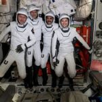 Cuatro astronautas regresan a la Tierra después de una estadía de seis meses en la Estación Espacial Internacional.  De izquierda a derecha, Matthias Maurer de la Agencia Espacial Europea, además de los astronautas de la NASA Tom Marshburn, Raja Chari y Kayla Barron aterrizarán en Florida mañana (viernes)