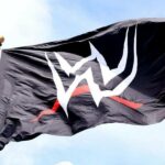WWE está buscando contratar a alguien a tiempo completo para manejar algunas de las tareas laborales de Stephanie McMahon